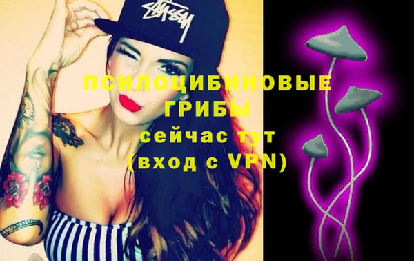 таблы Алзамай