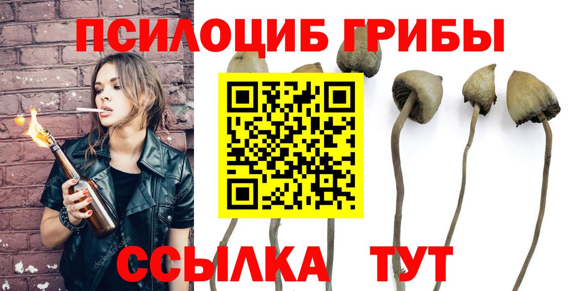 Ипатово  Псилоцибиновые грибы GOLDEN TEACHER  цены   Вход с VPN 